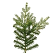 Vickerman 78