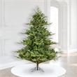 Vickerman 78