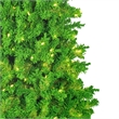 Vickerman 108