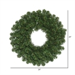 Vickerman 24