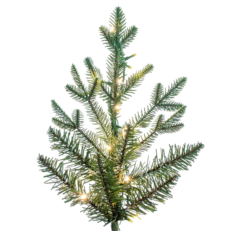 Vickerman 9'x57