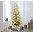 Vickerman 108x57