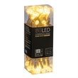 Vickerman 25' Color Box G12 Berry LED Christmas Light Set in Warm White