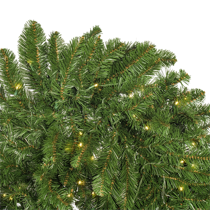Vickerman 9'x24