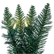 Vickerman 50'x14