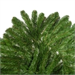 Vickerman 9'x24