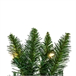 Vickerman 9'x12