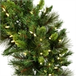 Vickerman 9'x18