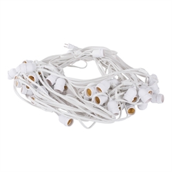 Light Bulbs & Components