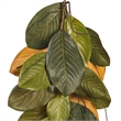 Vickerman 6' Fabric Artificial Magnolia Leaves Garland in Green