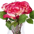 Vickerman 10