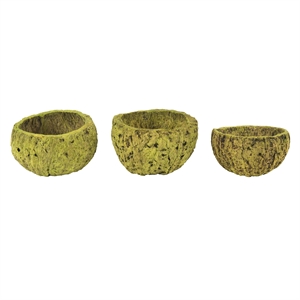Vickerman 3&quot Wood Wide Mayan Coconut in Basil Green (Set of 10)