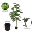 Vickerman 4' Artificial Green Potted Fiddle Tree.