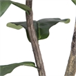 Vickerman 6' Artificial Green Potted Fiddle Tree.