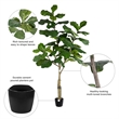 Vickerman 6' Artificial Green Potted Fiddle Tree.
