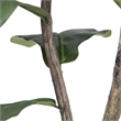 Vickerman 10' Artificial Green Potted Fiddle Tree.
