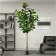 Vickerman 10' Artificial Green Potted Fiddle Tree.