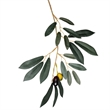 Vickerman 7' Artificial Green Olive Tree in Pot.