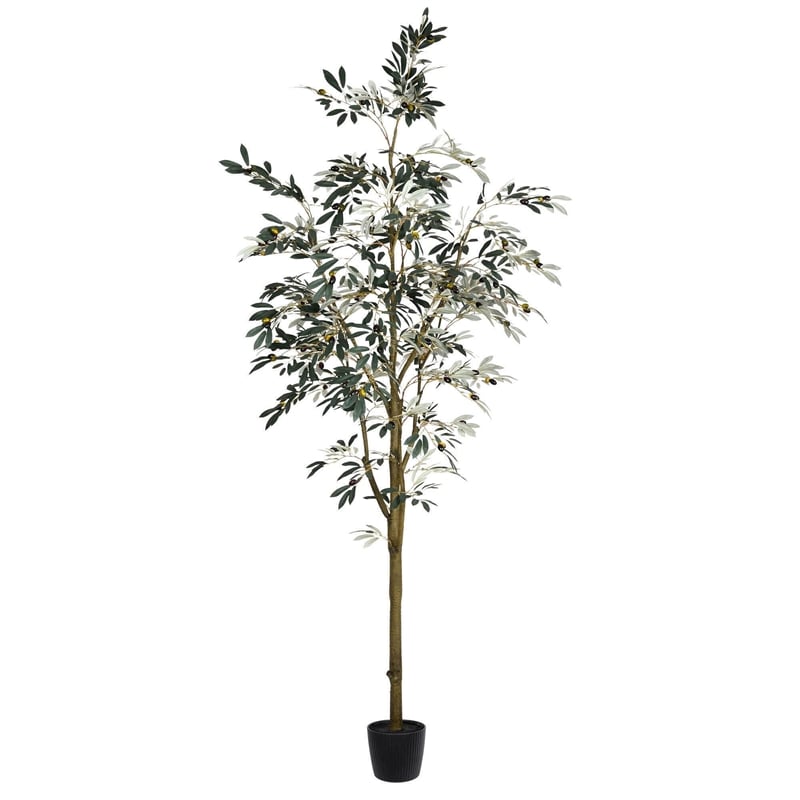 Vickerman 8' Artificial Green Olive Tree in Pot.