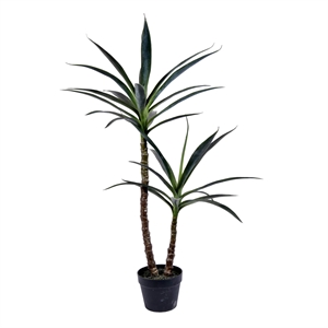 Vickerman 44&quot Artificial Artificial Green Yucca Tree in Black Planters Pot.