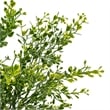 Vickerman 22.5