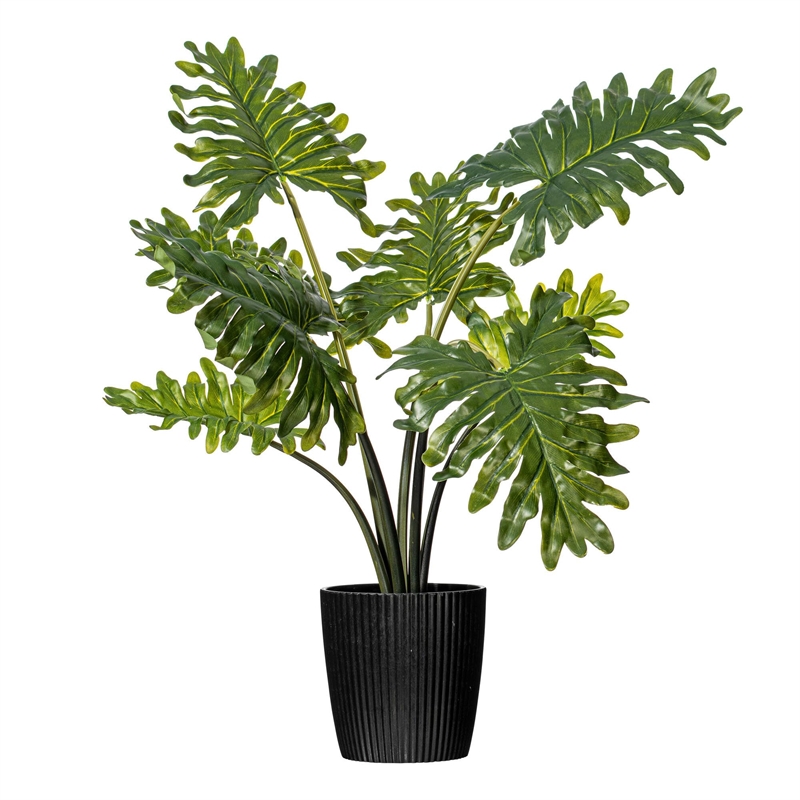 Vickerman 25