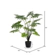 Vickerman 38
