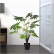 Vickerman 38