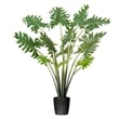 Vickerman 38