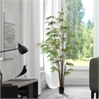 Vickerman 6' Artificial Potted Black Japanese Bamboo Tree