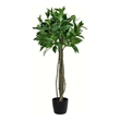 Vickerman 3' Contemporary Fabric Artificial Potted Bay Leaf Tree in Green