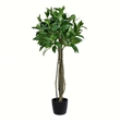 Vickerman 3' Contemporary Fabric Artificial Potted Bay Leaf Tree in Green
