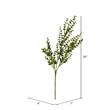 Vickerman 26