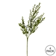 Vickerman 26