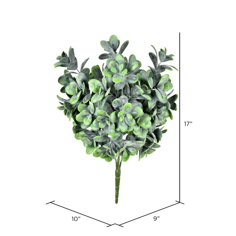 Vickerman 17
