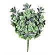 Vickerman 17