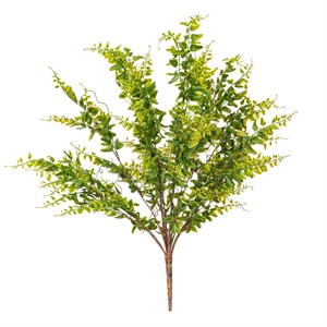 Vickerman 20&quot Contemporary Plastic Artificial UV Coated Royal Fern Bush in Green