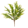 Vickerman 20