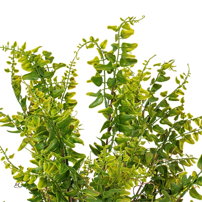 Vickerman 20