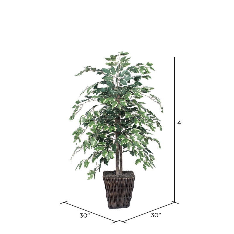 Vickerman 4' Artificial Variegated Ficus Bush with Willow Basket in Green/White