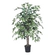 Vickerman 4' Artificial Variegated Ficus Bush with Black Pot in Green/White