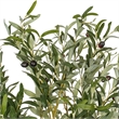 Vickerman 48