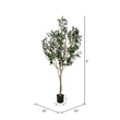 Vickerman 72