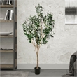 Vickerman 72