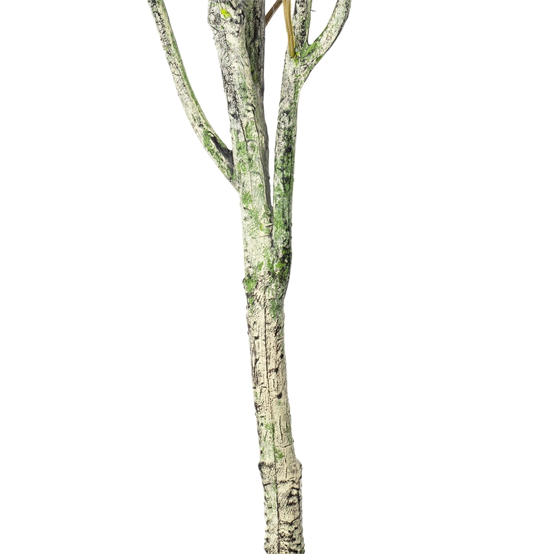 Vickerman 72
