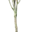 Vickerman 72