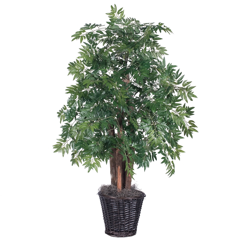 Vickerman 4' Artificial Ming Aralia Bush with Rattan Basket in Green