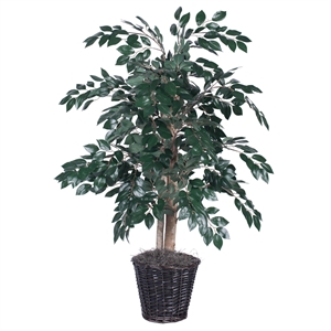 Vickerman 4' Artificial Sakaki Bush with Rattan Basket in Dark Green