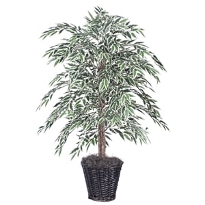 Vickerman 4' Artificial Variegated Smilax Bush with Rattan Basket in Green/White