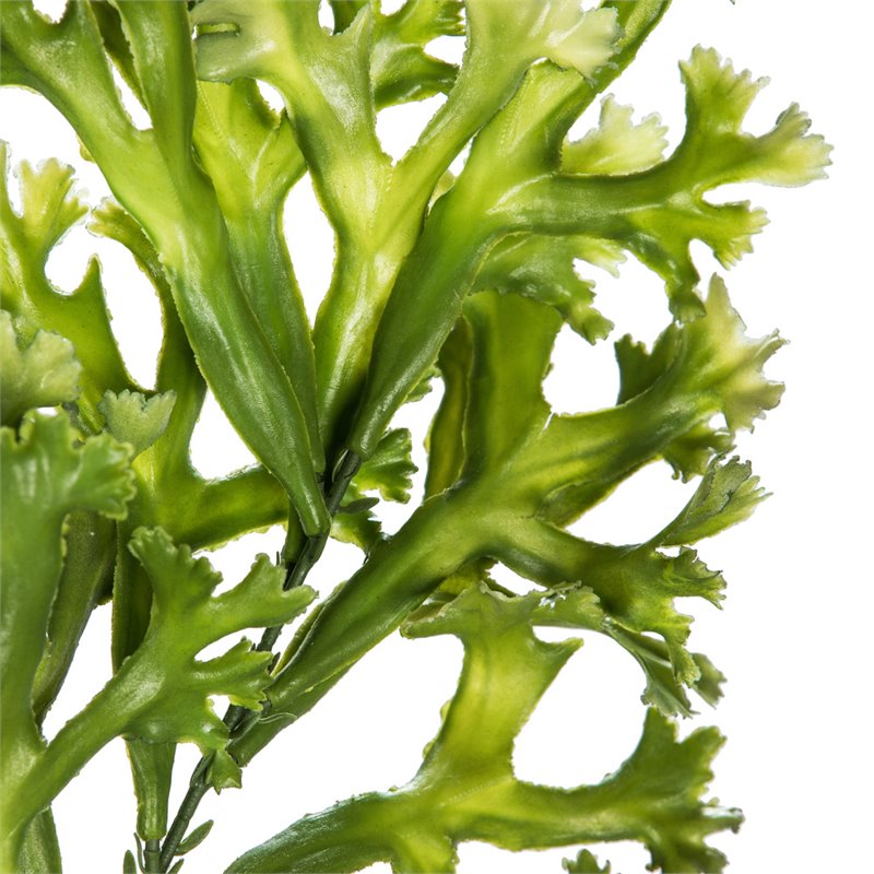 Vickerman 31.5